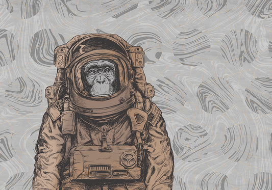 Astro monkey