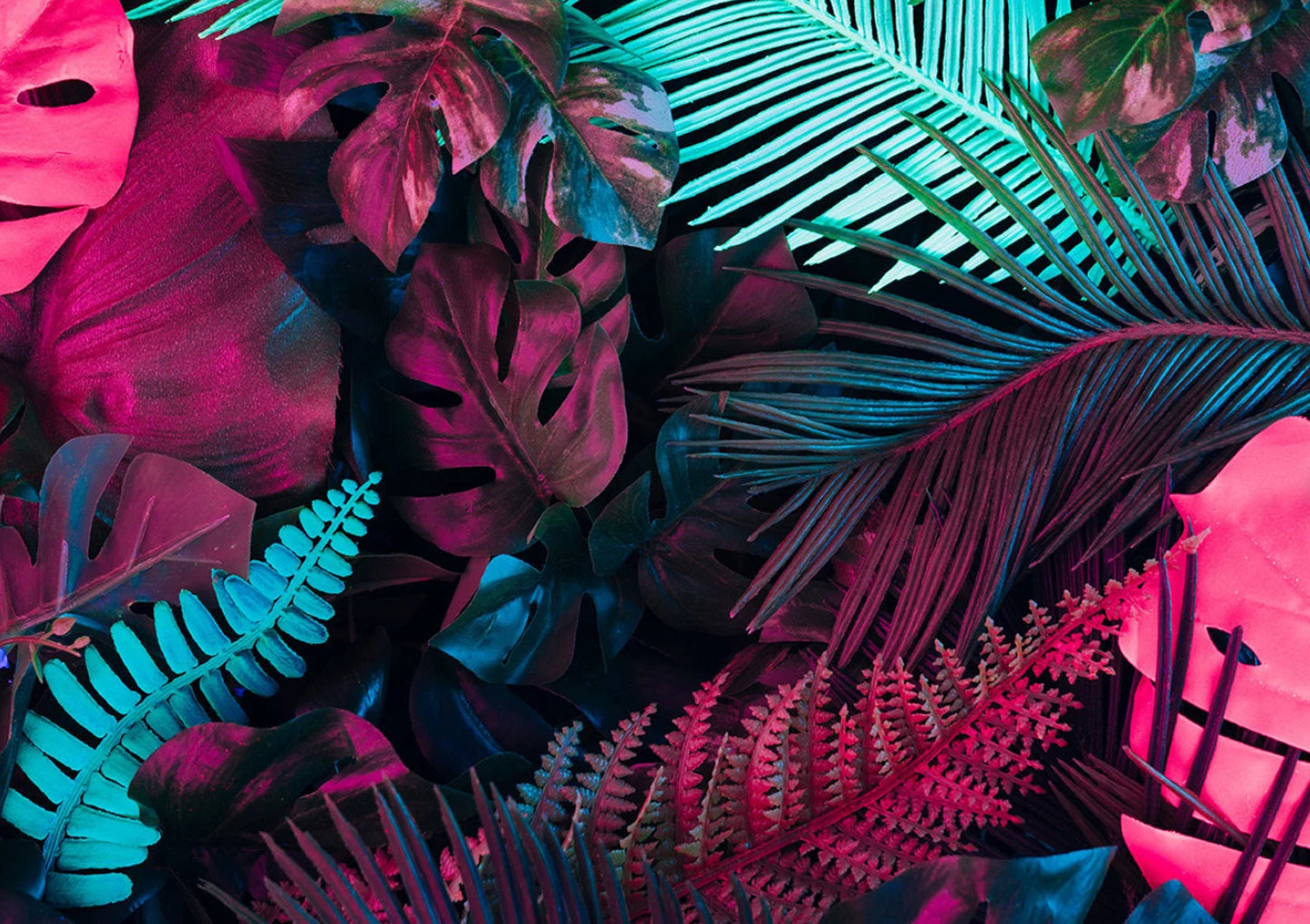 Tropical rave