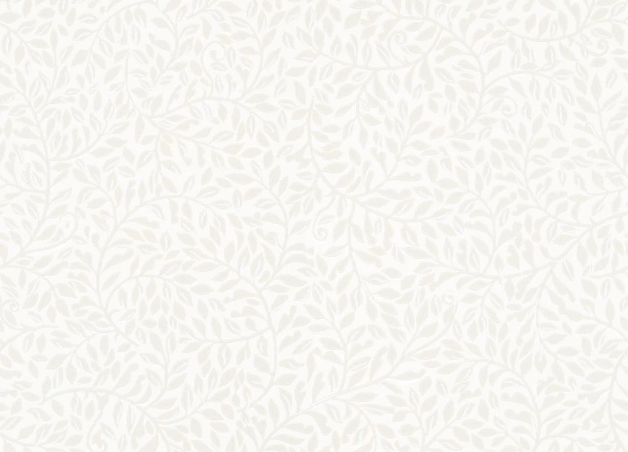 Sigfrid botanical