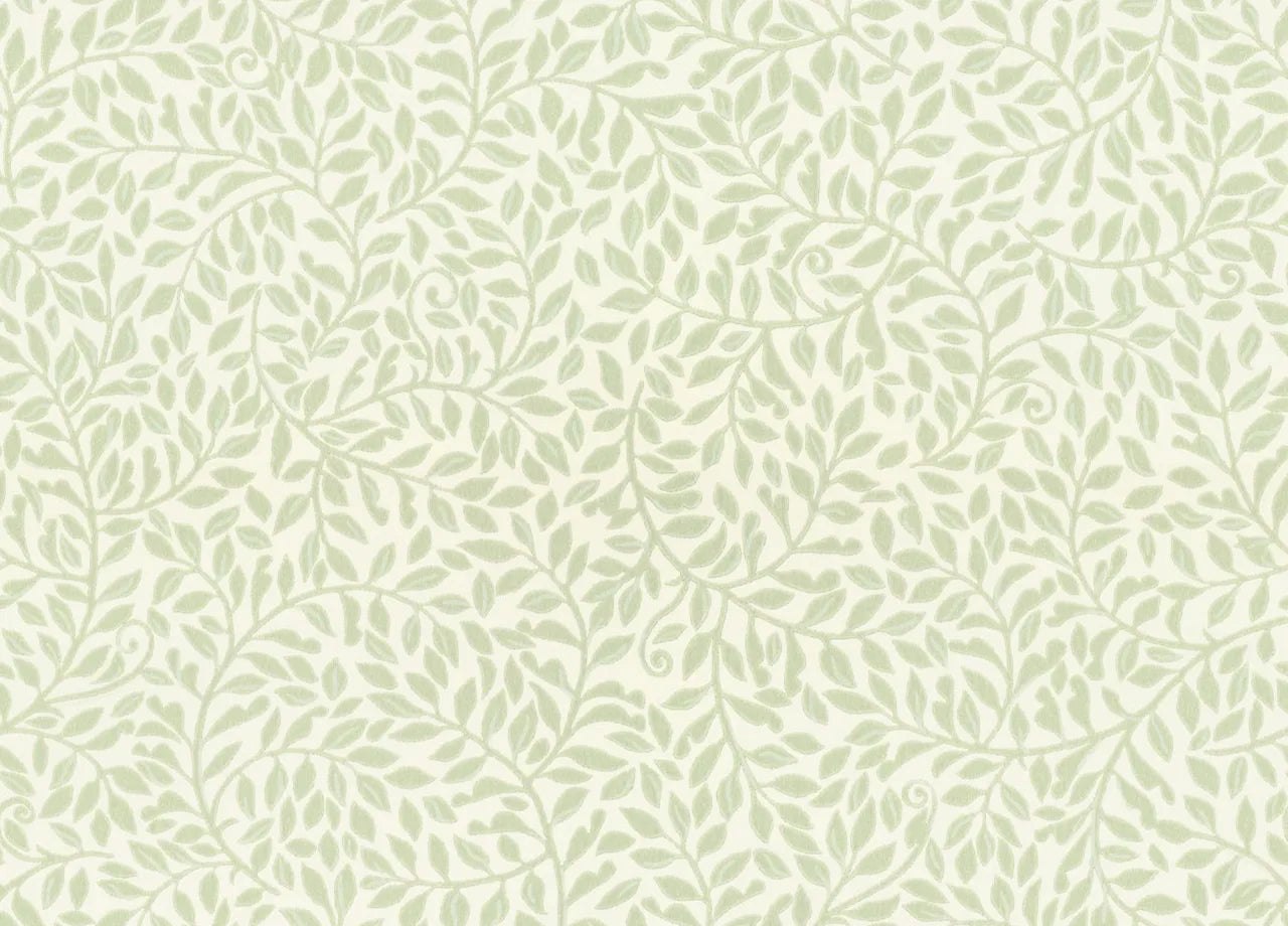 Sigfrid botanical