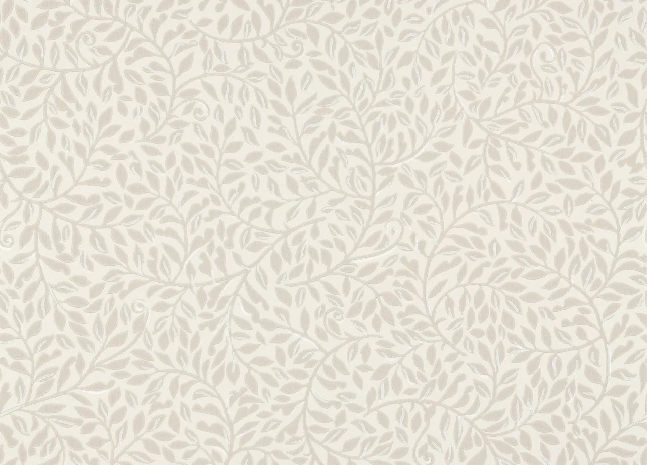 Sigfrid botanical