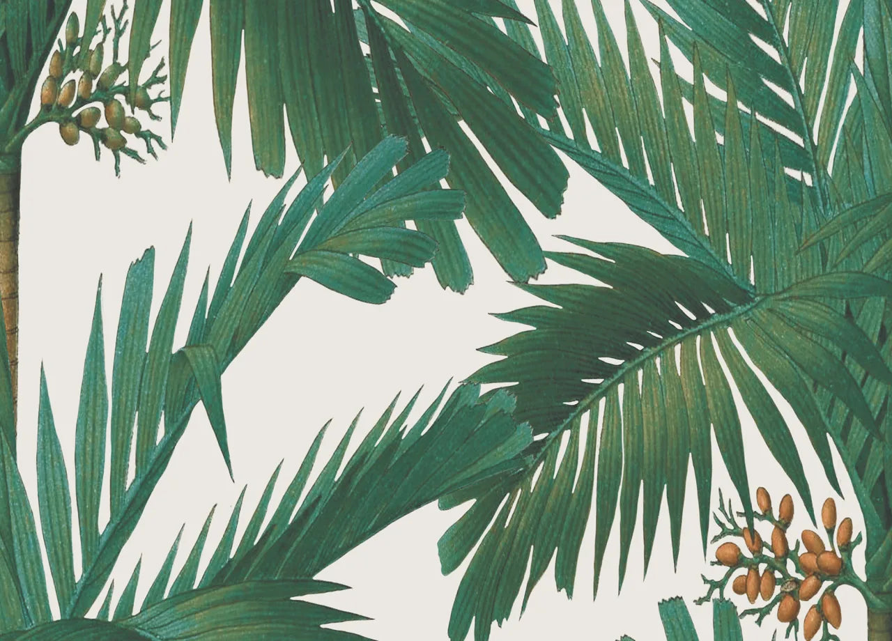 Palm Spring