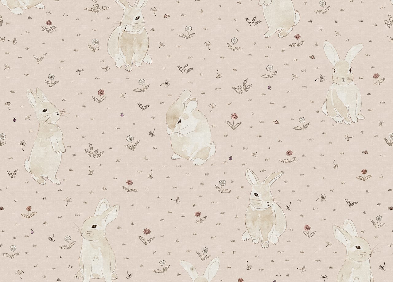 Bunny Field