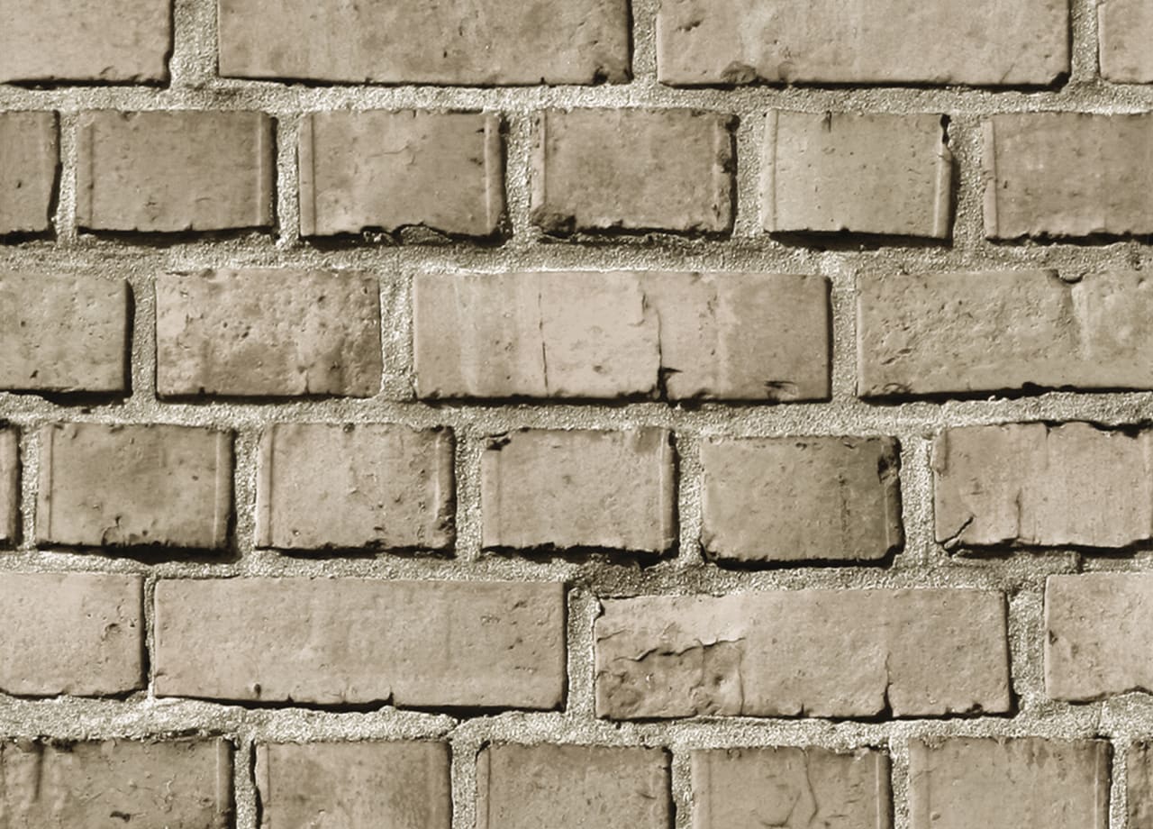 Brick Rebel