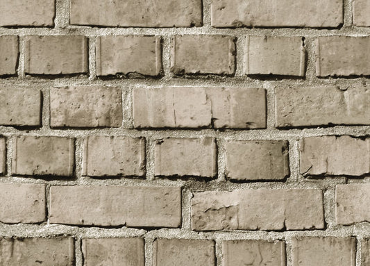 Brick Rebel